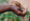 Close up of two hands catching water drips